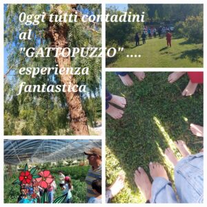 gattopuzzo